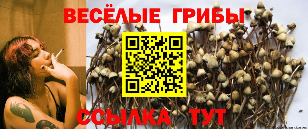 Лесной  Галлюциногенные грибы GOLDEN TEACHER  Вход с VPN 