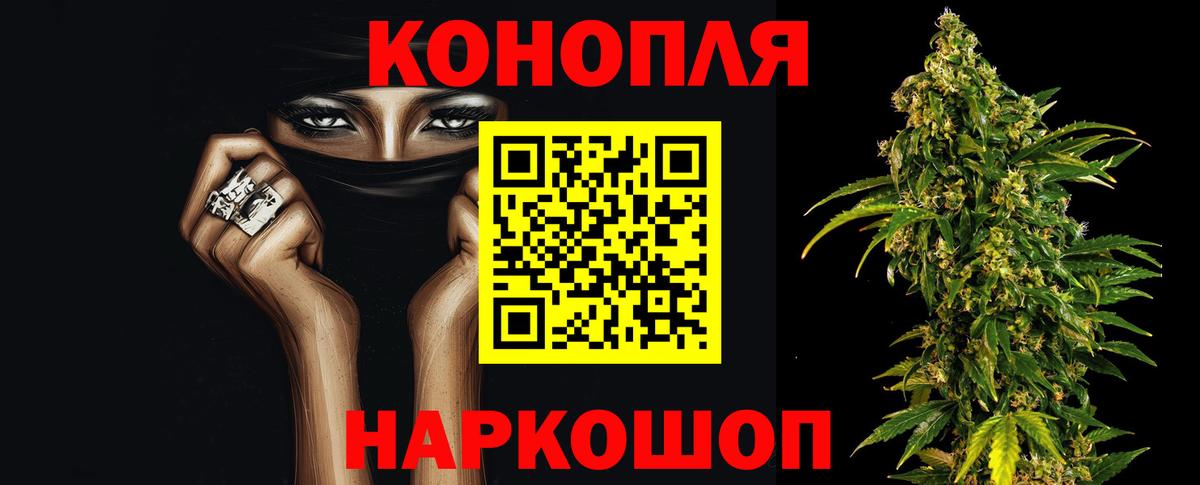 Каннабис планчик  Вход с VPN  Канабис Ganja  Лесной  Конопля Ganja 